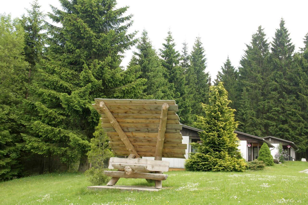 Waldhotel Rennsteighoehe Frauenwald Exterior photo